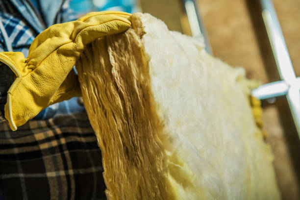 Best Blown-in Insulation  in Lyman, WY