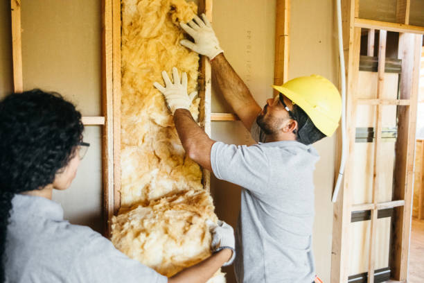 Best Insulation for Commercial Buildings  in Lyman, WY