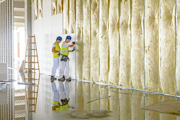 Best Fiberglass Insulation  in Lyman, WY